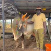 aidara.karara81