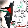 mohmdshakr1