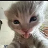 emilly_mim7