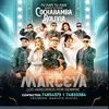 marceyaoficial