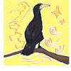 eclipsethecormorant