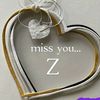 zarazara9633