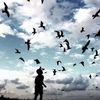 laiba.shoaib5