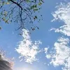theoduoiuocmo_1