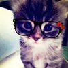 zhangdoesloveu11_