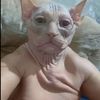 user9681491015848