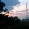 no1thainguyenf