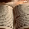 quran4159