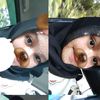 ci_aaa009