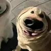 maythicksnhinfko