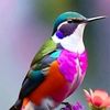 user91241061330884