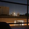 ffalger_