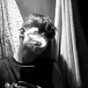 .giwrgoss4