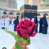 hafizawaisa2