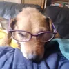bellaaaaaaaaaaa437