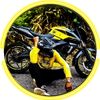 yellowbrod2004