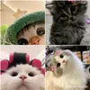 asheeyana.jala.am