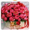 user68486692401667