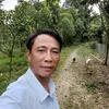 hnghong6934