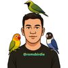 romsbirdie