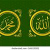 amaliaaa2_
