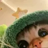 maitegeronimo0