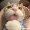 ngoccnhuunee
