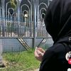 syarifahassegaf_