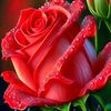user999176141181