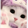 chaun.rukchat