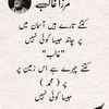 pakistanifans4
