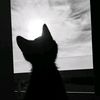 keppo_pisann