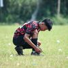 agli.jr