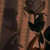 salma.amrhar4