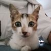 wopieee_13