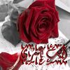 omaymaosman2
