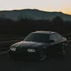 langosta501