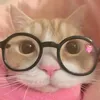 pwmsjsj