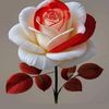 nasir.uddin9147