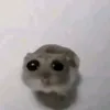 nikmac.cz