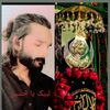 Shan Ali 512