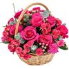ioana.ruse47