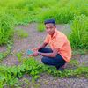 user3821902797596
