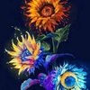 hager.yasser191