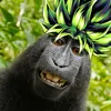 themonke.acc