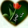 nehad.alzayady0