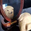 cosmicc_01