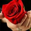 user8076061286771