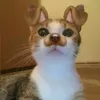 kenzfag69