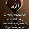 user81167483087611